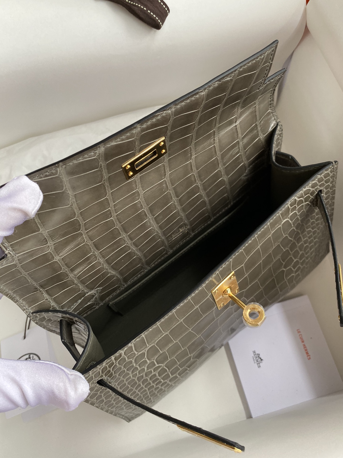 Hermes Mini Kelly Pochette 22cm Bag In Grey Shiny Alligator Leather